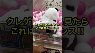 【クレーンゲーム】クレゲ好きから見たら...これは大チャンス‼︎