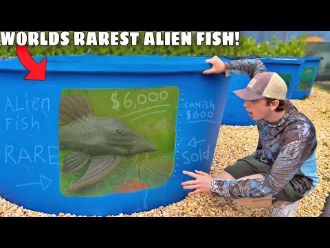 I Bought the World’s RAREST Alien Fish!