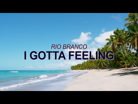 Black Eyed Peas– I Gotta Feeling (Bossa Nova Cover – Rio Branco) ☀️ Summer Songs