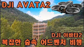 DJI 아바타2 단 한팩으로 숲속 어드벤처 비행해보기! / DJI AVATA2 / FPV Freestyle / Korea long range FPV