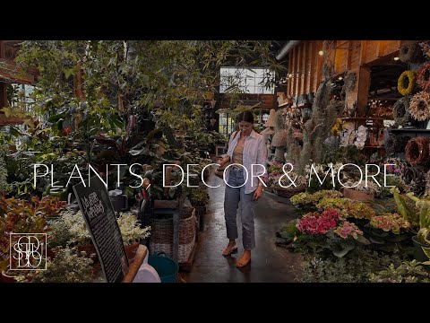 MORE than DESIGN: Join us as we visit Terrain in Westport, CT | Christina DiStefano