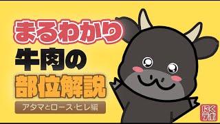 牛肉の部位解説＜アタマ・ロース・ヒレ編＞和牛