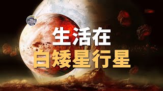 【宇宙雜談】生活在白矮星附近是种什麼體驗？| Linvo說宇宙