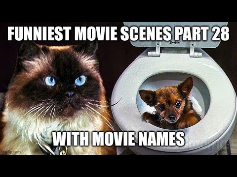 Funniest Movie Scenes Part 28 (1080p HD W/Movie Names)