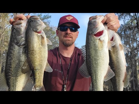 Bass Fishing Santee Cooper | Lake Marion | March 2023 | #bassmasters #fishing