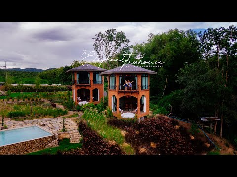 The Elephant Treehouse บ้านต้นไม้สุดชิลพร้อมวิวสวยโคตร