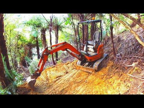 Diesel Bug Kills Excavator !!.. Lets fix it