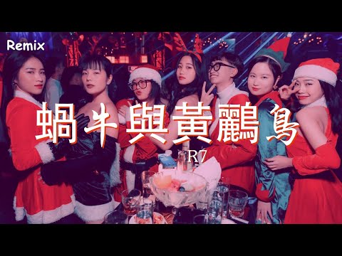 R7 - 蝸牛與黃鸝鳥 - [慢搖DJ舞曲] - 2023年最勁爆的DJ歌曲  - [Chinese Dj Remix 2023]