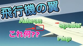 これなんだか分かりますか？「飛行機の翼」