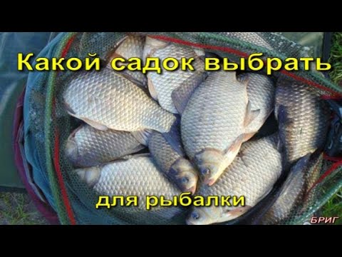 Какой садок выбрать для рыбалки? Виды садков.