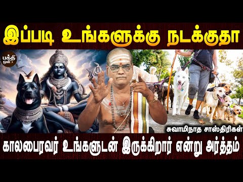 நாய் வளர்ப்பவர்கள் மகா புண்ணியம் பண்ணவர்கள் | Kala bairavar | Aanmeegam | parigaram | Bakthi oli