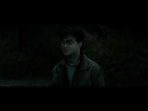 Harry Potter and the Deathly Hallows 2/Best scene/Daniel Radcliffe/David Thewlis/Gary Oldman