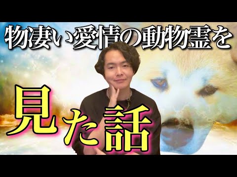 動物霊がどれほど人間を愛しているかを目撃した話