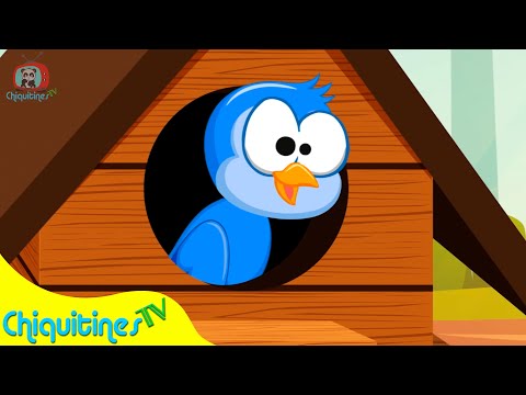 Lindo Pajarito - Canción Infantil