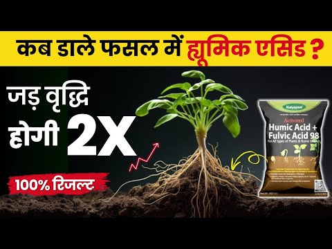 Humic Acid का उपयोग कैसे करें | अधिक फसल उत्पादन | फसलों की वृद्धि, उर्वरता बढ़ाएं | 100% high yield