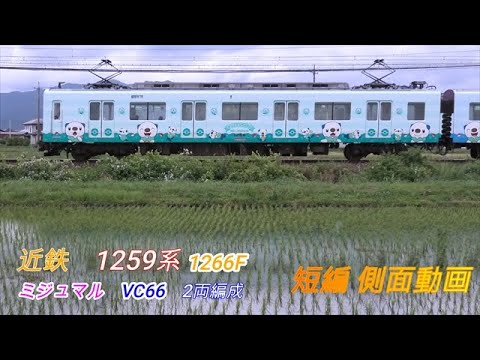 近鉄1259系　1266F　VC66　ミジュマルトレイン　短編側面動画　 2画面