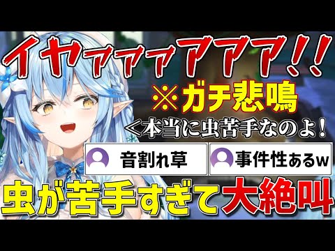 虫が苦手すぎてどうぶつの森の博物館でガチの悲鳴をあげてしまうラミィｗ【ホロライブ/雪花ラミィ/切り抜き】