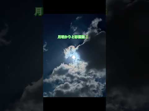 彩雲龍🐲綺麗でした🙏#shortvideo #sky #shorts #short #彩雲 #龍雲 #龍神様