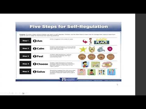 14. Survival State Strategy: The Safe Place and 5 Steps of Regulation (Red Brain)