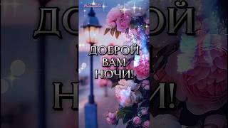 Хорошего вечера и доброй ночи!!! #добройночи #shortsvideo #музадуши #rec #спокойнойночи #длявас