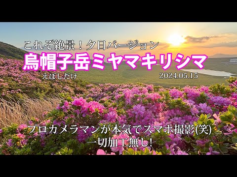 【烏帽子岳ミヤマキリシマの夕日】2024 05 15 絶景とはこのことか！プロが本気でスマホ撮り(笑)