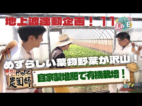 【農園部11】オーガニック野菜を自家製堆肥で栽培するサガンベジさん