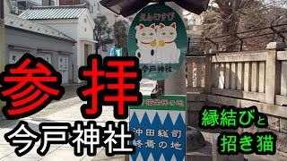 今戸神社　縁結び　招き猫