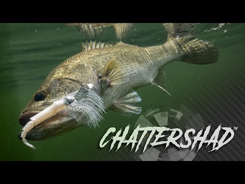 Introducing the CHATTERSHAD