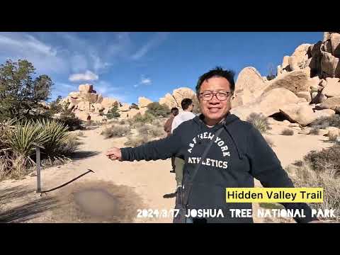 Joshua Tree National Park 南加約書亞公園一日遊 2024/3/17