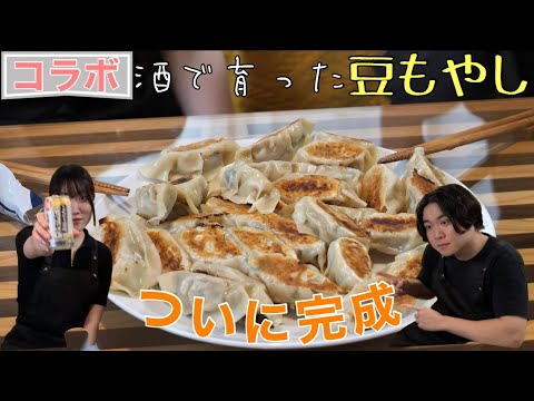 【美味すぎ】美女と手作り餃子とレモンチューハイで優勝しました #料理コラボ