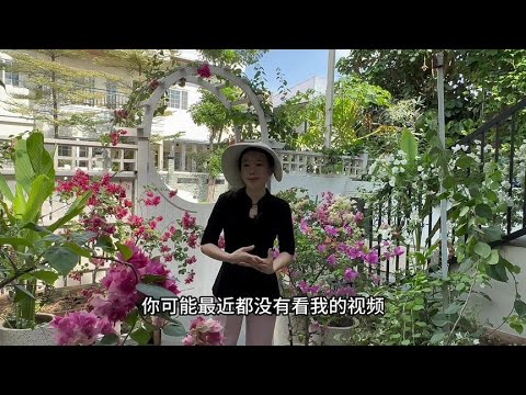 Jenny的菜园种植了丰富多样的蔬菜，数量之多以至于无法全部食用。你种了哪些蔬菜呢？