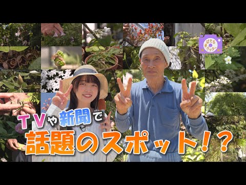 【#ばえるゲッター】今話題！？上板町の植物園に突撃取材！