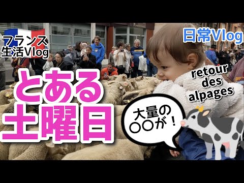 フランスのとある土曜日　たくさんの動物たちに会いに行ってきた！日常Vlog