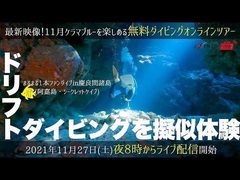 【無料ダイビングオンラインツアー】ドリフトダイビングを擬似体験！まるまる1本ファンダイブin慶良間諸島(阿嘉島・シークレットケイブ)