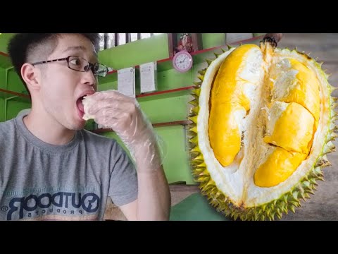 Japanese reaction | is DURIAN yummy? ドリアンはおいしいですか？ | Jafun goals