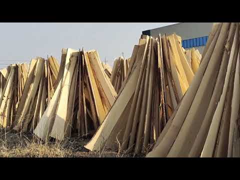 Inventory of large poplar boards - Linkedin woodwork