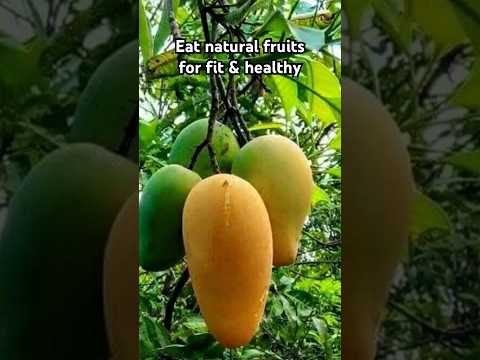 Eat natural fruits for fit & healthy#eatrawfruits#fruits#foodies#asmrfruits#healthyfruits