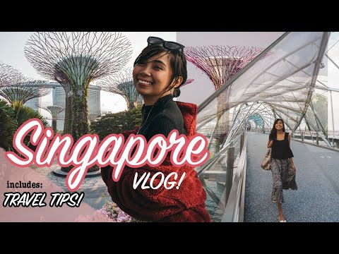 Travel To Singapore- YOU WON'T REGRET IT!