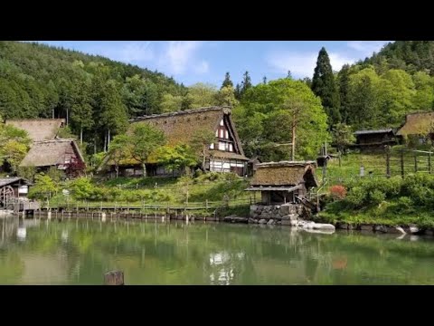 Hida Folk Village/ Hida No Sato Oct.24,2024