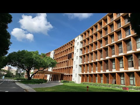 亚洲最大规模的木制建筑“大地之室” Asia’s Largest Mass Timber Building  -the ‘Gaia’ at NTU