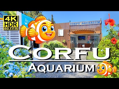 Corfu Aquarium Paleokastritsa Greece in 4K 60fps HDR (UHD) 💖 The best places 👀 Walking tour