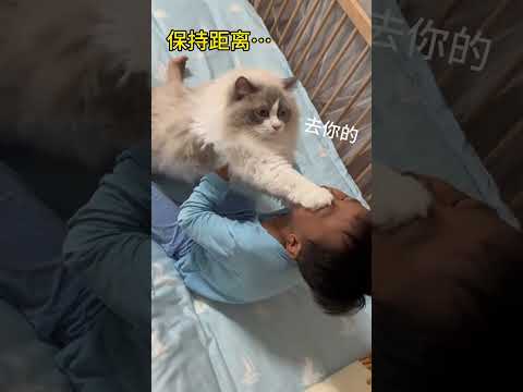 我家猫被孩子吓出心理阴影了… #猫和宝宝的日常