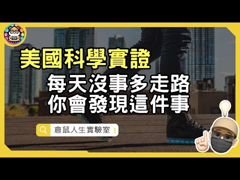 聰明人都在「動」：科學揭祕「走路」讓人更聰明 更成功 ｜EP119  《愈動愈成功》 ｜ 倉鼠人生實驗室   鼠叔  hamr-lab