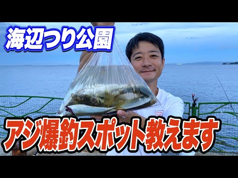 【横須賀海辺つり公園】アジが爆釣する場所と時間を詳しく解説！うみかぜ公園と違ってがら空き...