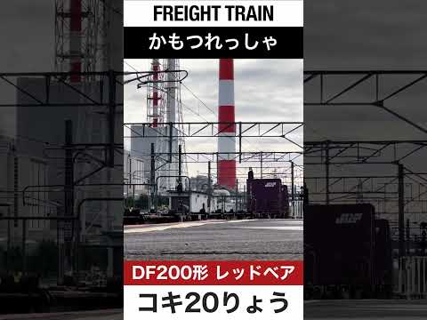 【ジョイント音】JR苫小牧駅を通過する貨物列車【電車が大好きな子供向け】Japanese Trains for Kids - Freight Train 9