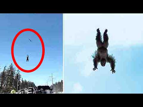 TERRIFYING Bigfoot Footage That Went VIRAL Overnight