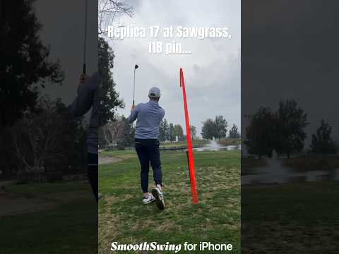 Hole vlog: par 3’s have been nice to me lately #golf #golfswing #birdie #taylormade #playgolf #mg4