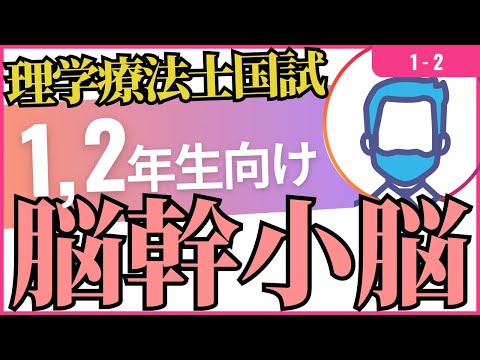 1-2　脳幹と小脳