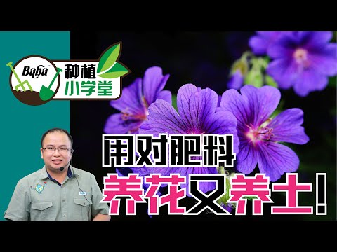 【Baba种植小学堂】有机开花肥的氮磷钾NPK比例应该是多少？包装上的号码又代表什么？| 有机开花肥料