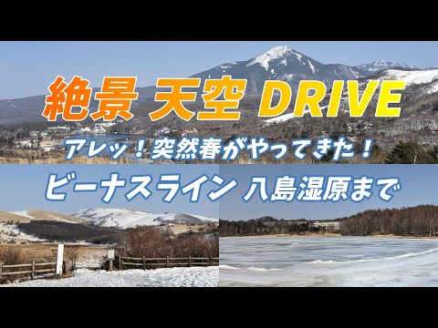 あれ～ 突然春がやってきた！ 絶景天空Drive ビーナスライン  ～蓼科第二牧場～霧ヶ峰〜八島湿原まで　思っていたよりも雪解けのスピードが早くビックリ！